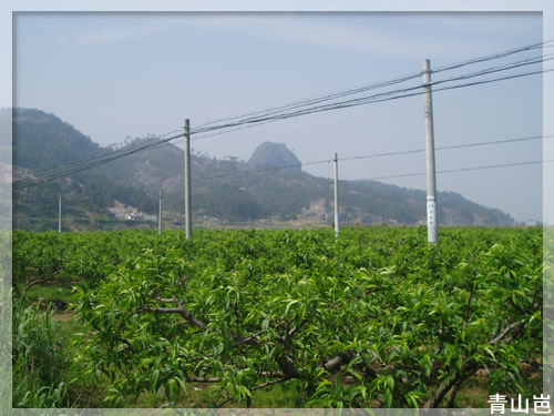 爬山