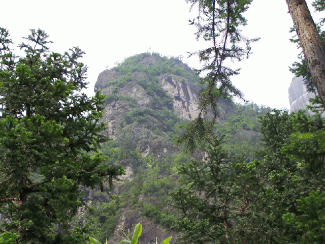 仙居归来