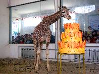 祝疯子生日快乐!!