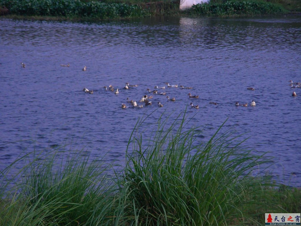 城东湖小景