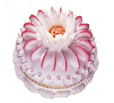 祝゛儛魅﹏寳兒◇ 生日快乐!!!!