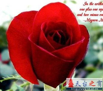 七夕快乐！！！