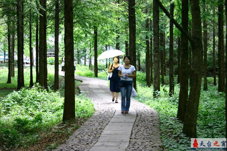 诸暨自驾游(2006.8.3)