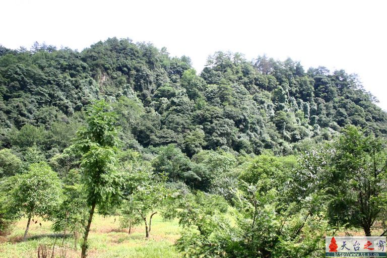 诸暨自驾游(2006.8.3)