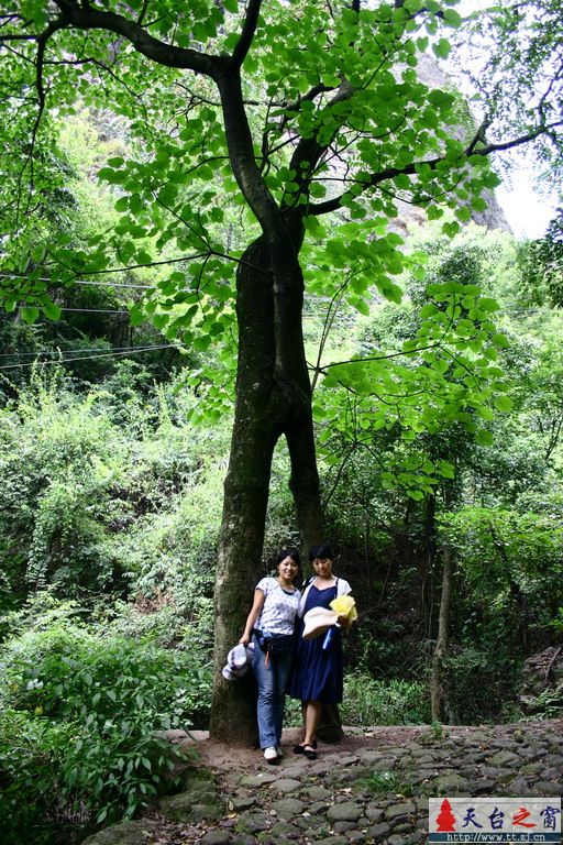 诸暨自驾游(2006.8.3)
