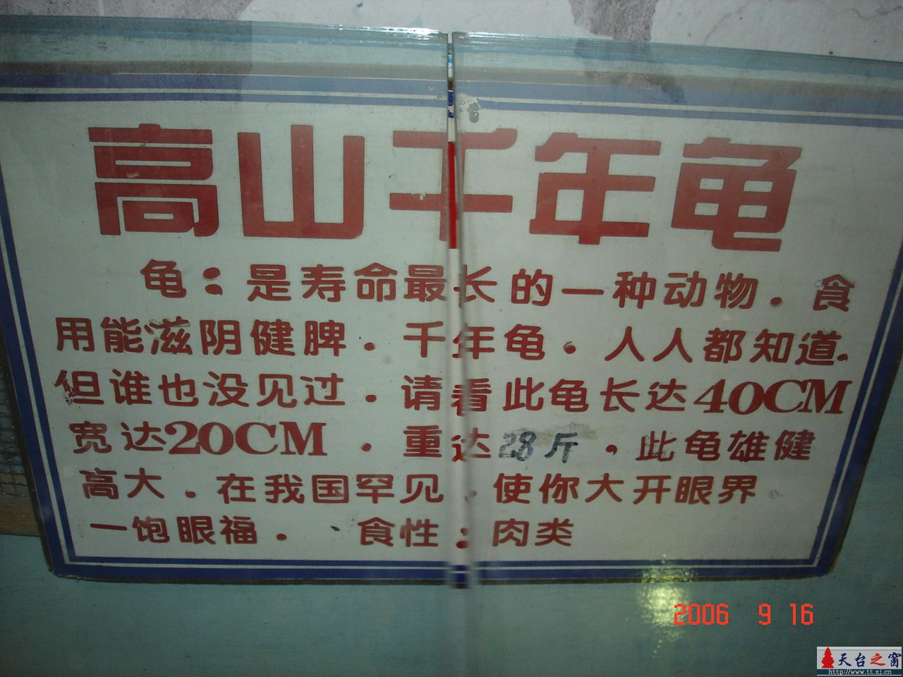 濒临灭绝动物展