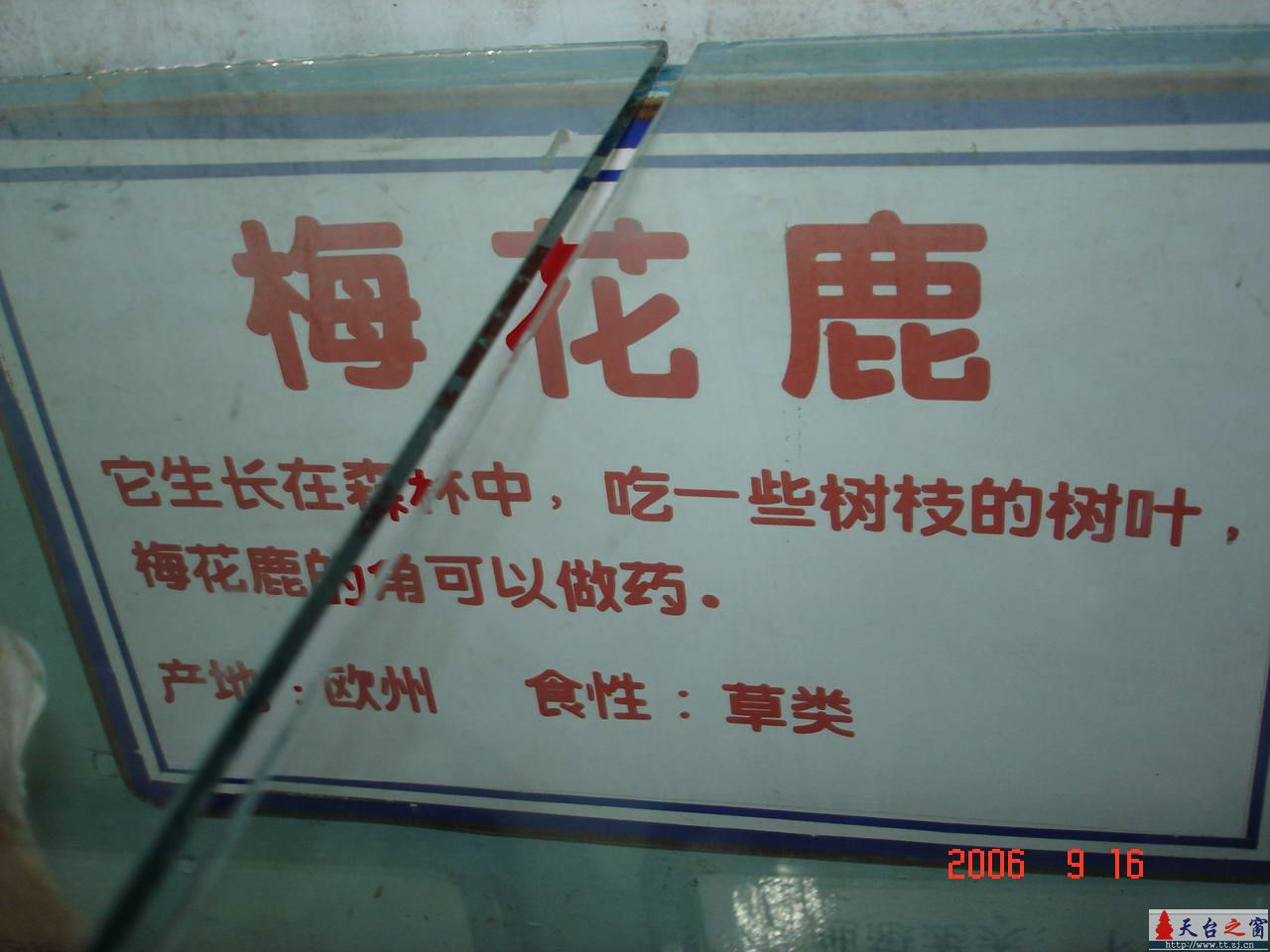 濒临灭绝动物展五