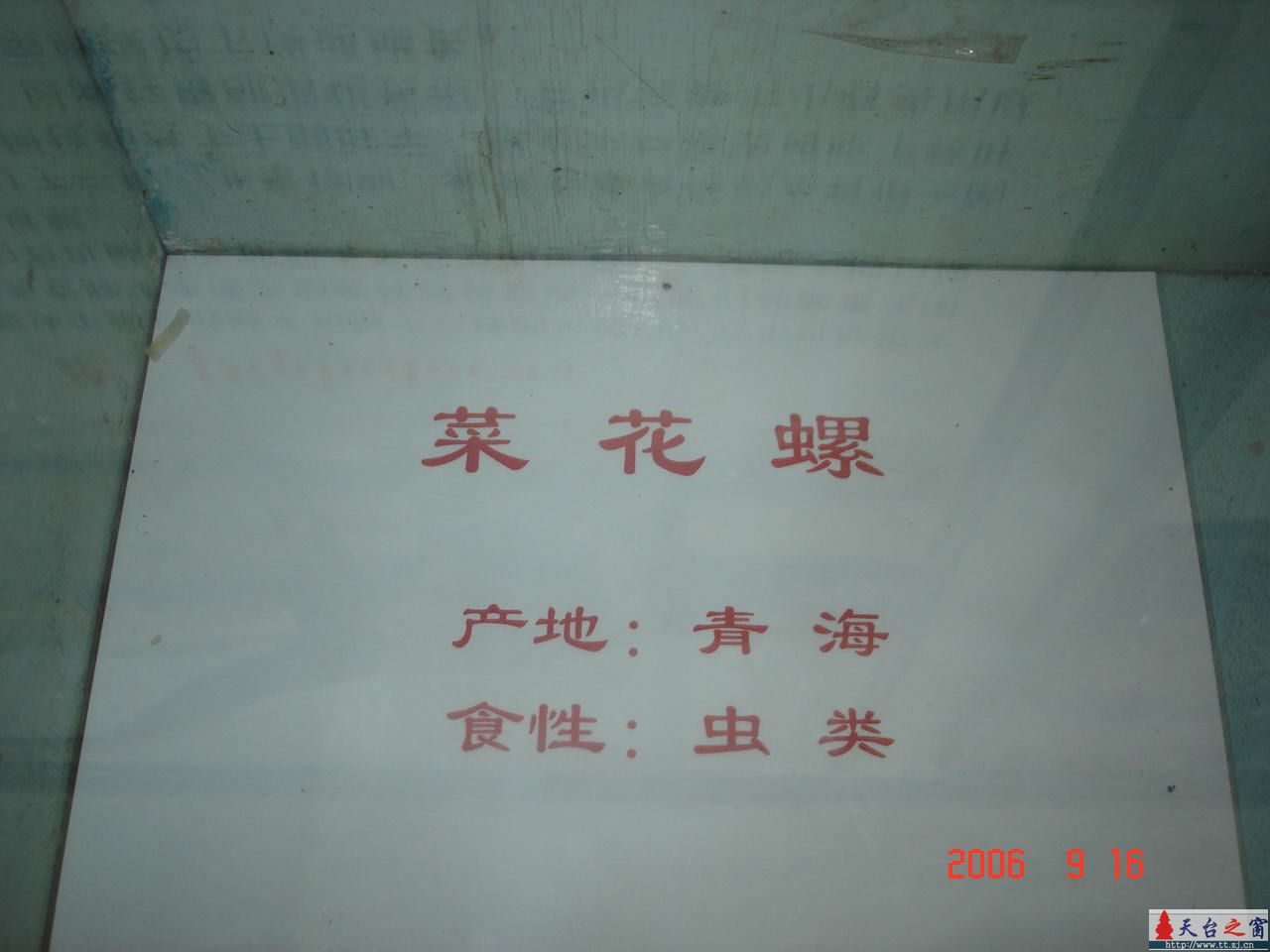 濒临灭绝动物展五
