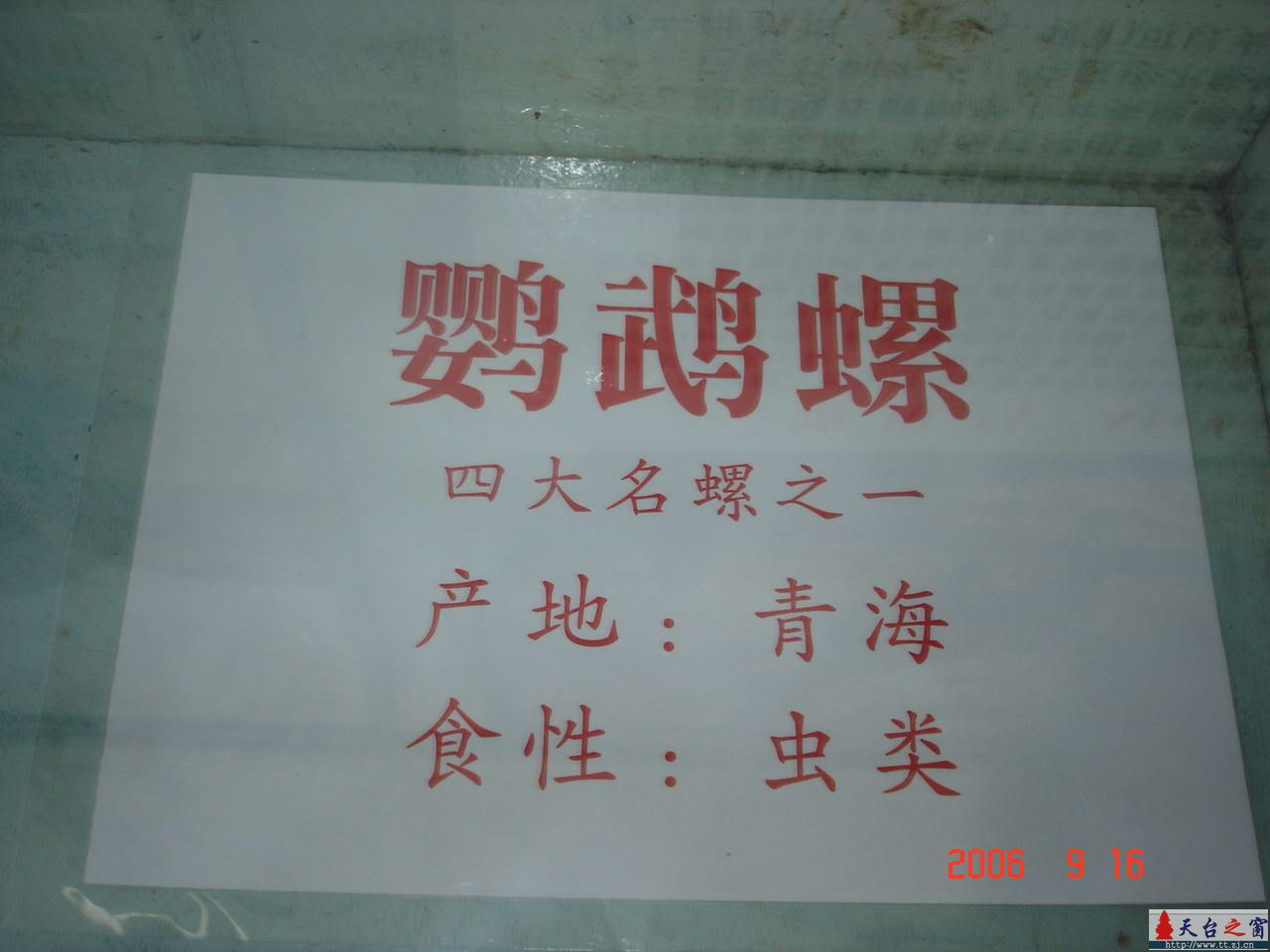 濒临灭绝动物展五