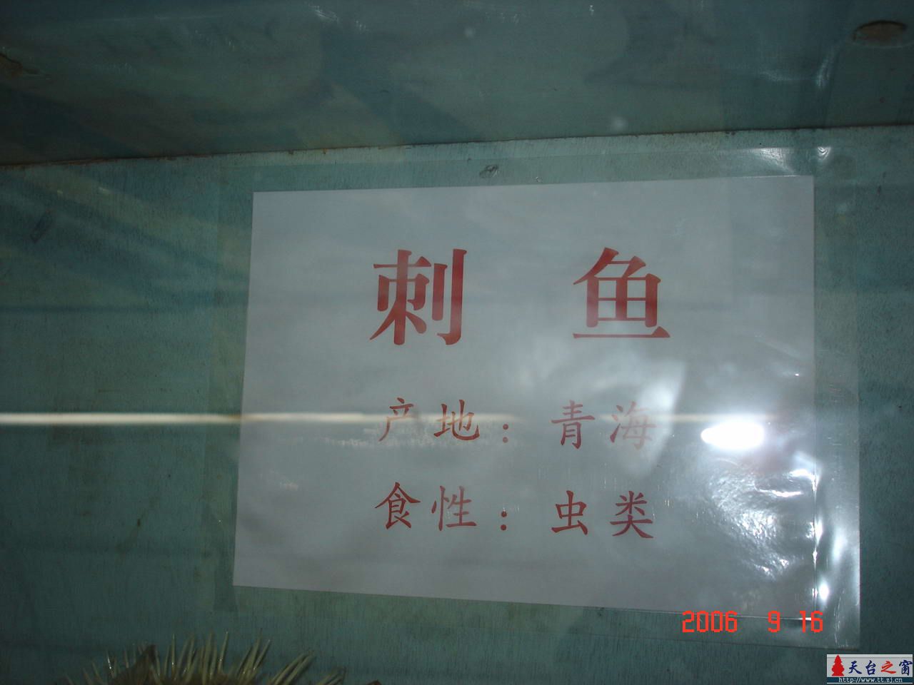 濒临灭绝动物展五
