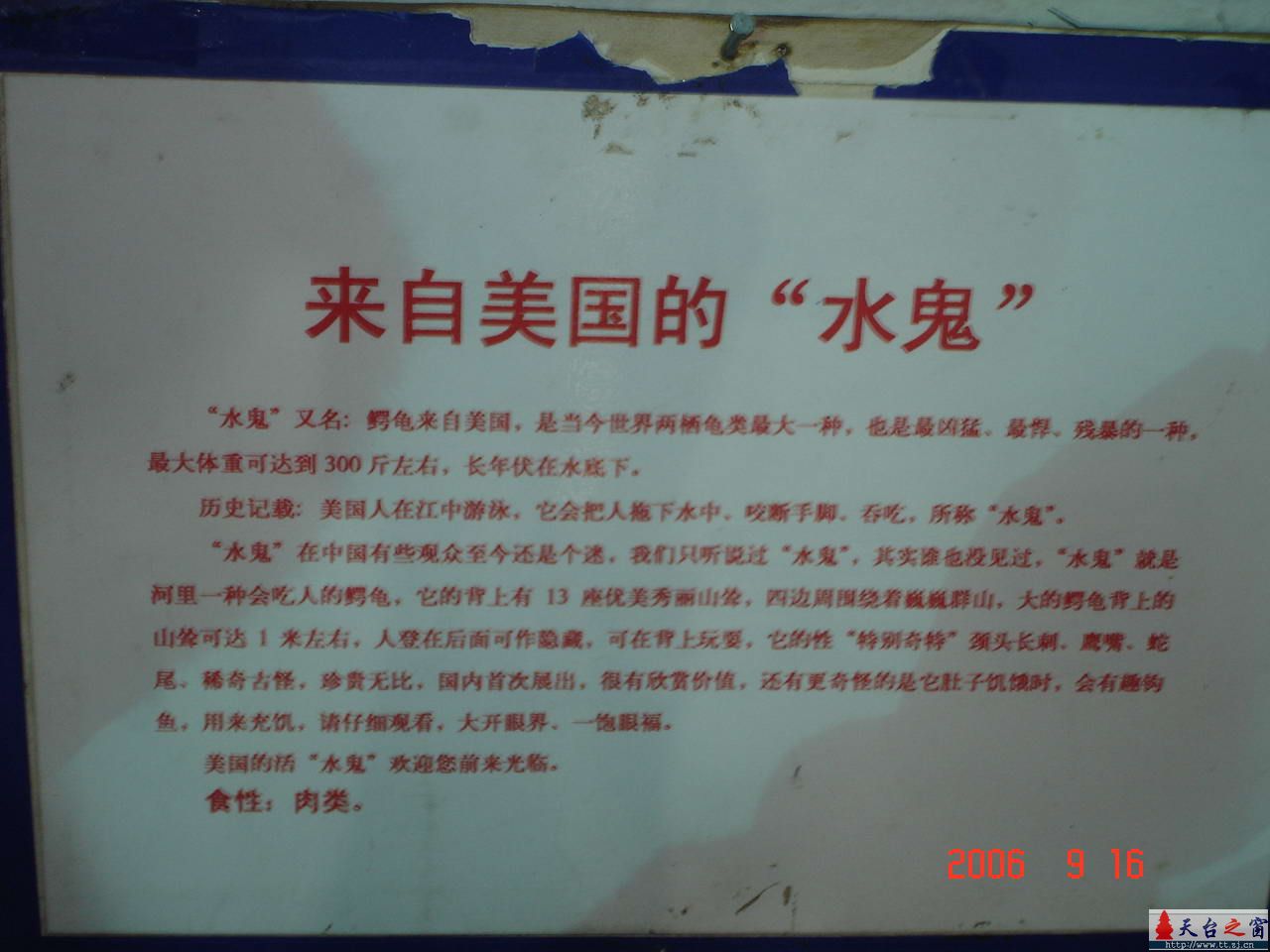 濒临灭绝动物展六