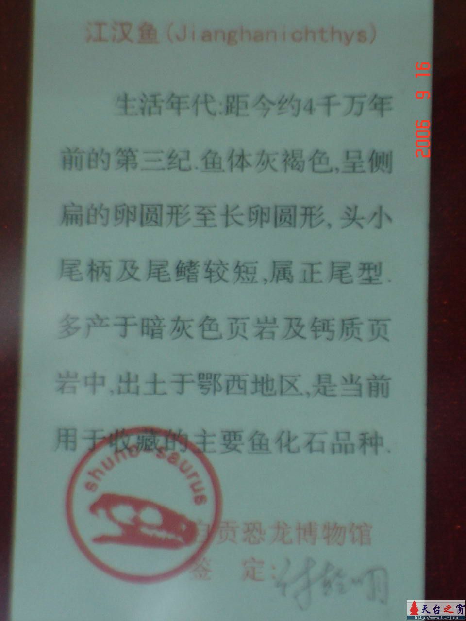 濒临灭绝动物展六