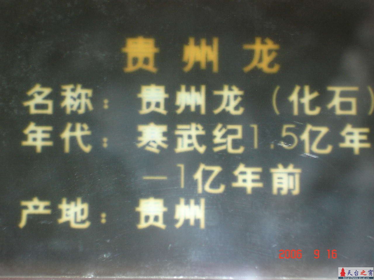 濒临灭绝动物展六