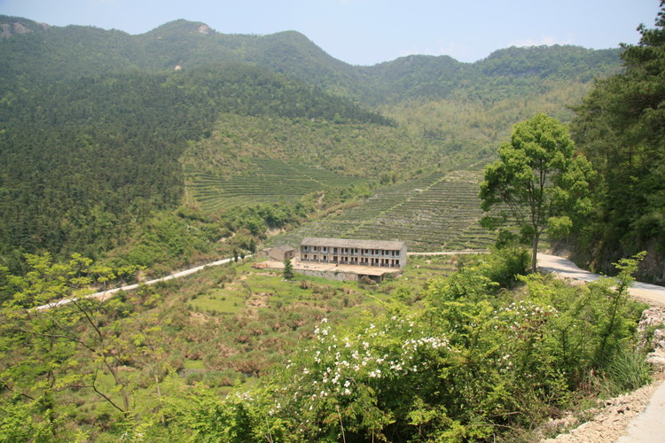 重游帮地宝华林场，各公可多了