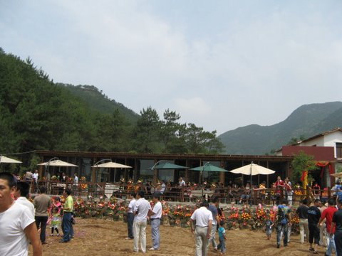 天台又有一个新的休闲地---------