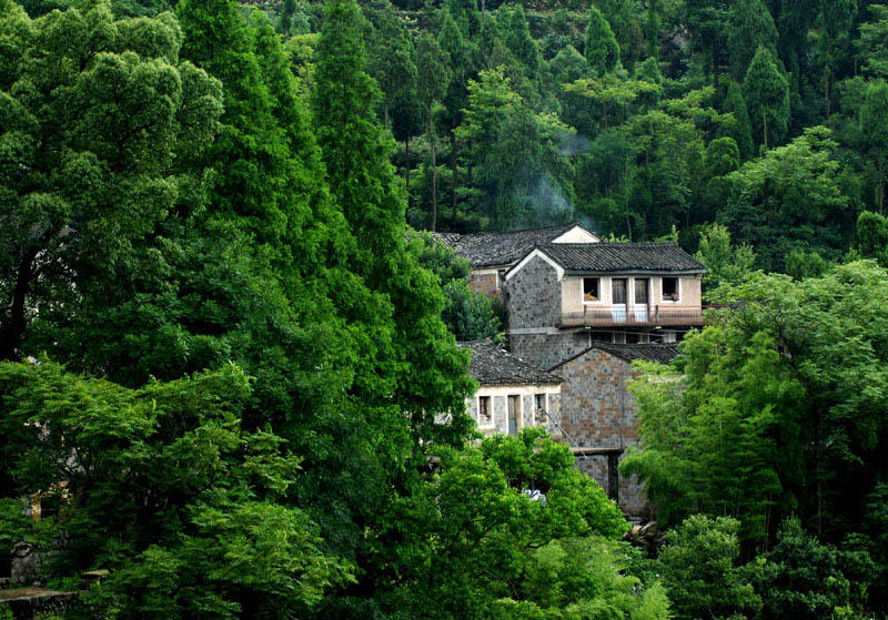 南山