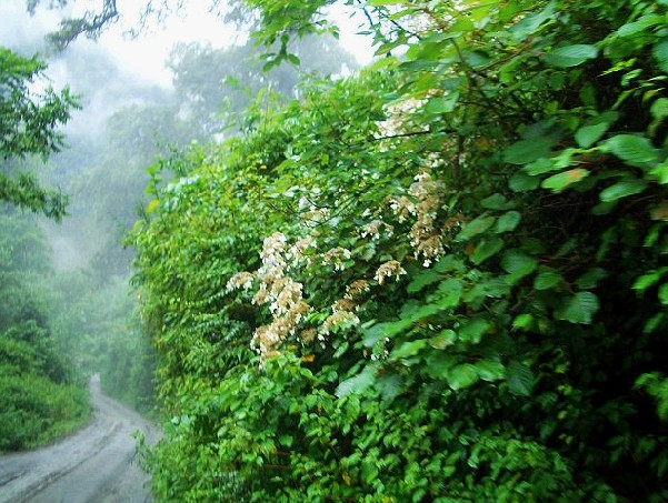 [贴图]   川藏公路险   沿途风光美