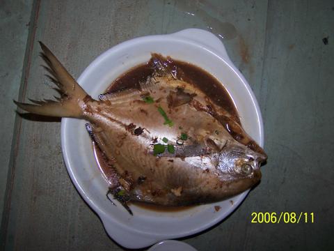 2006.7.22-23朱家尖游记