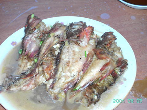 2006.7.22-23朱家尖游记
