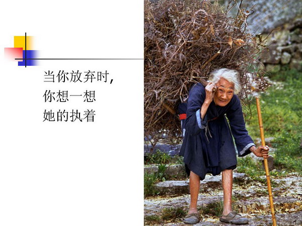 麻木的中国之感动