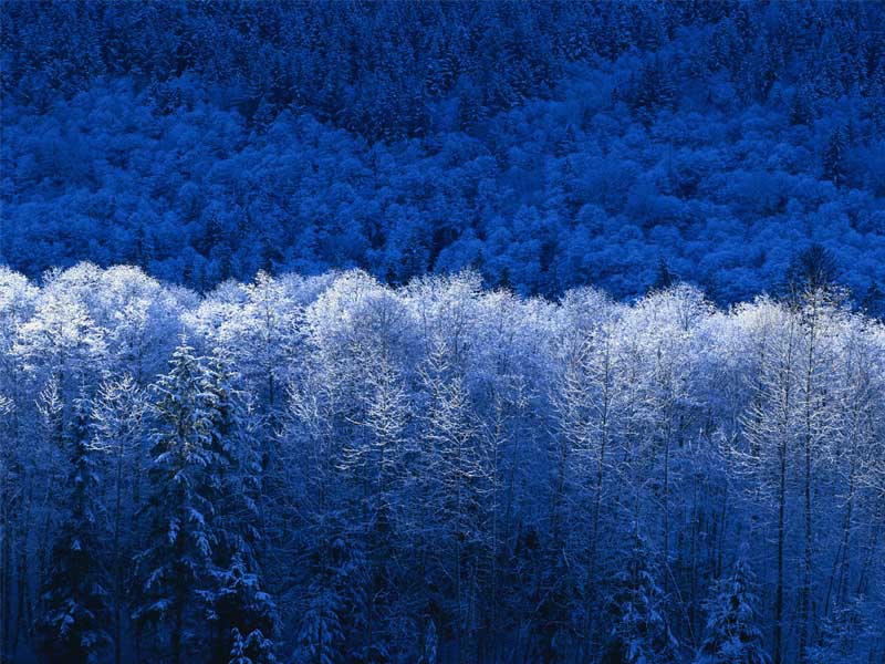 《同一个梦想》花絮