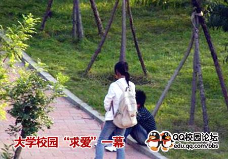 此情此景红尘中！