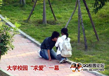 此情此景红尘中！
