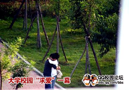 此情此景红尘中！