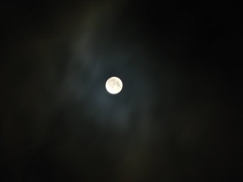十五的月亮.十六圆
