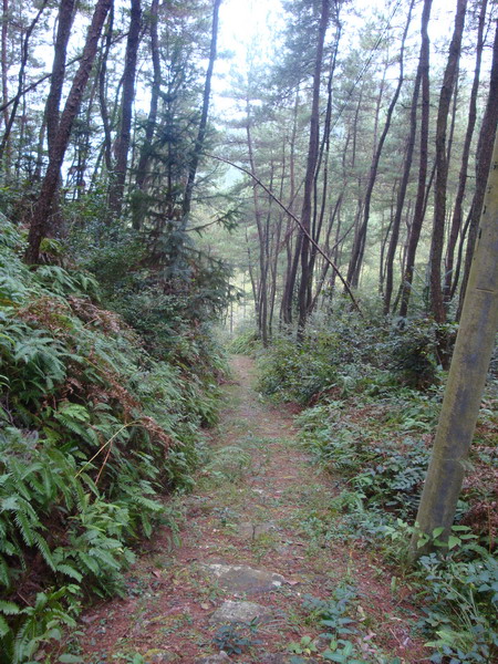 10月19日穿越紫凝山