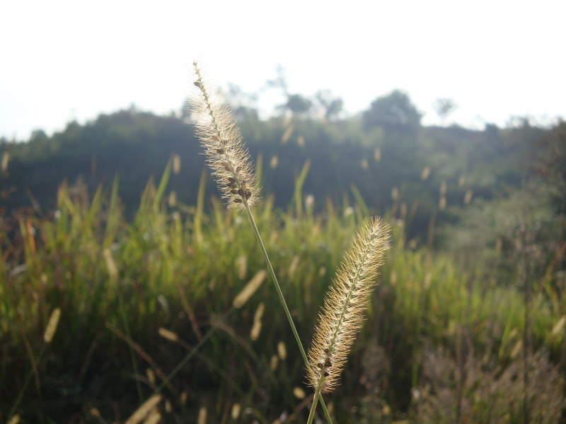 10月19日穿越紫凝山