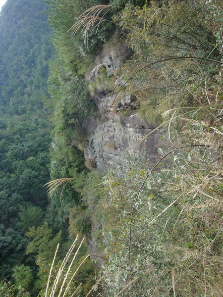 10月19日穿越紫凝山