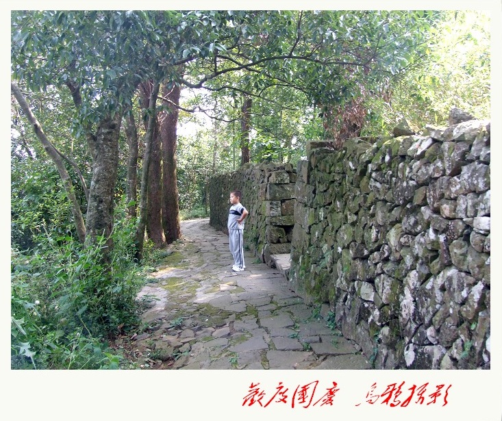 10.1重游塔头寺