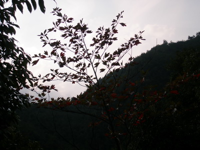 10月19日穿越紫凝山