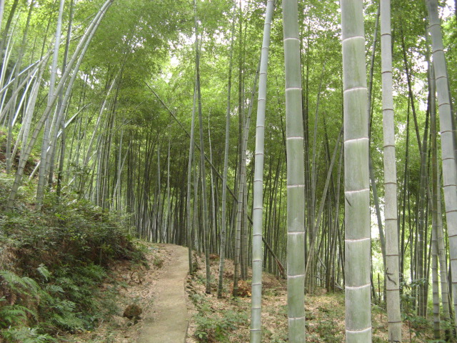 10月18日~19日龙潭—东海云顶—桃花坑(第3~6页)