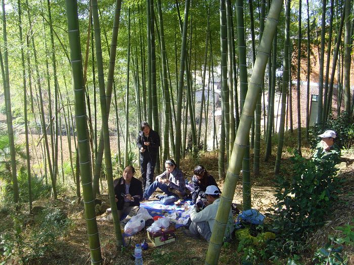 [天台驴友俱乐部]------紫疑山行凯旋而归