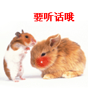 [公告]网友亮相（拒绝灌水）