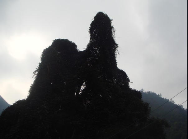 [天台驴友俱乐部]活动之____九遮揽胜,雪上探奇