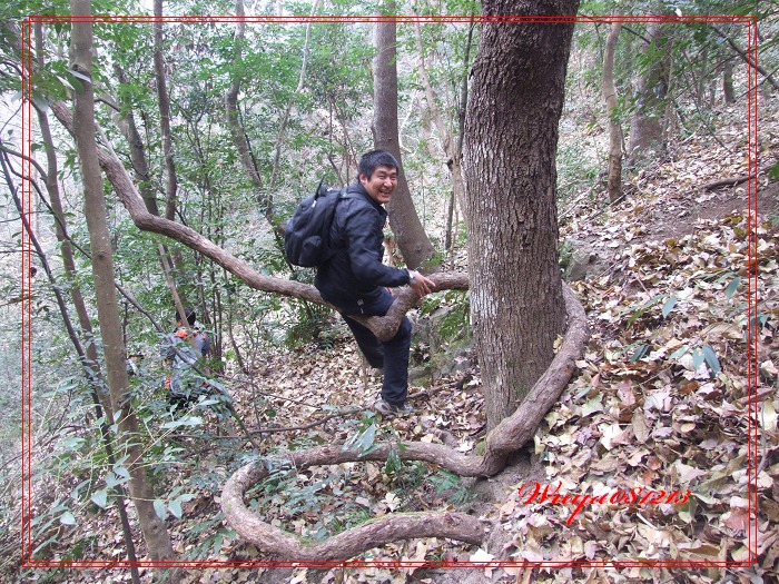 [天台驴友俱乐部]活动之------浙东大峡谷顺利归来!