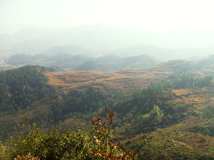 [原创]爬光秃秃的毛草山________吃火辣辣的酸菜鱼________摘铁蒂青的金橘子