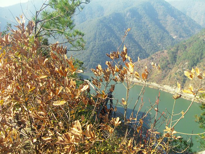 [原创]爬光秃秃的毛草山________吃火辣辣的酸菜鱼________摘铁蒂青的金橘子