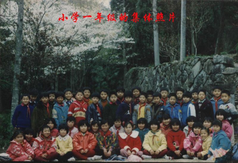 回忆学生时光