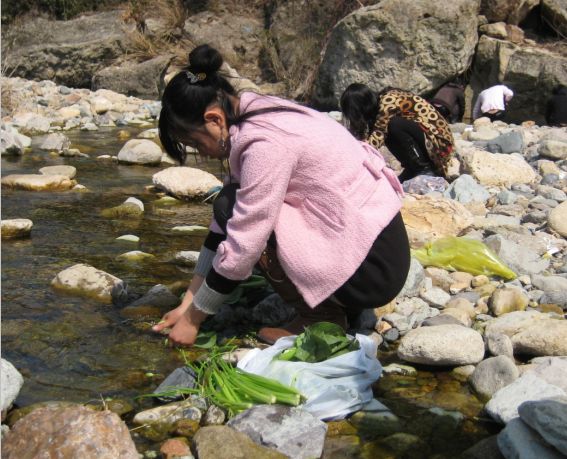2008年3月2日.九遮山野炊照片..