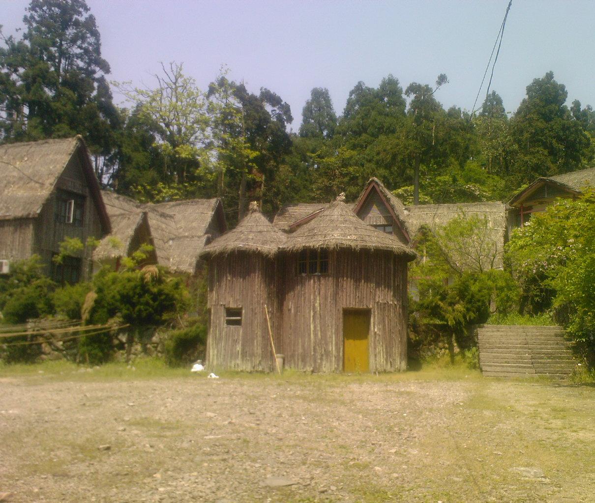 华顶杜鹃节
