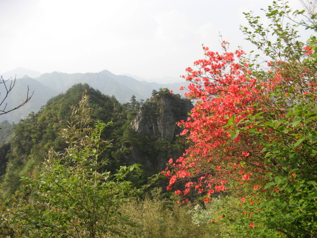 d0a376sd.jpg