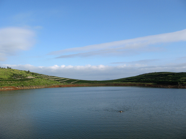 arWPAEmw.jpg