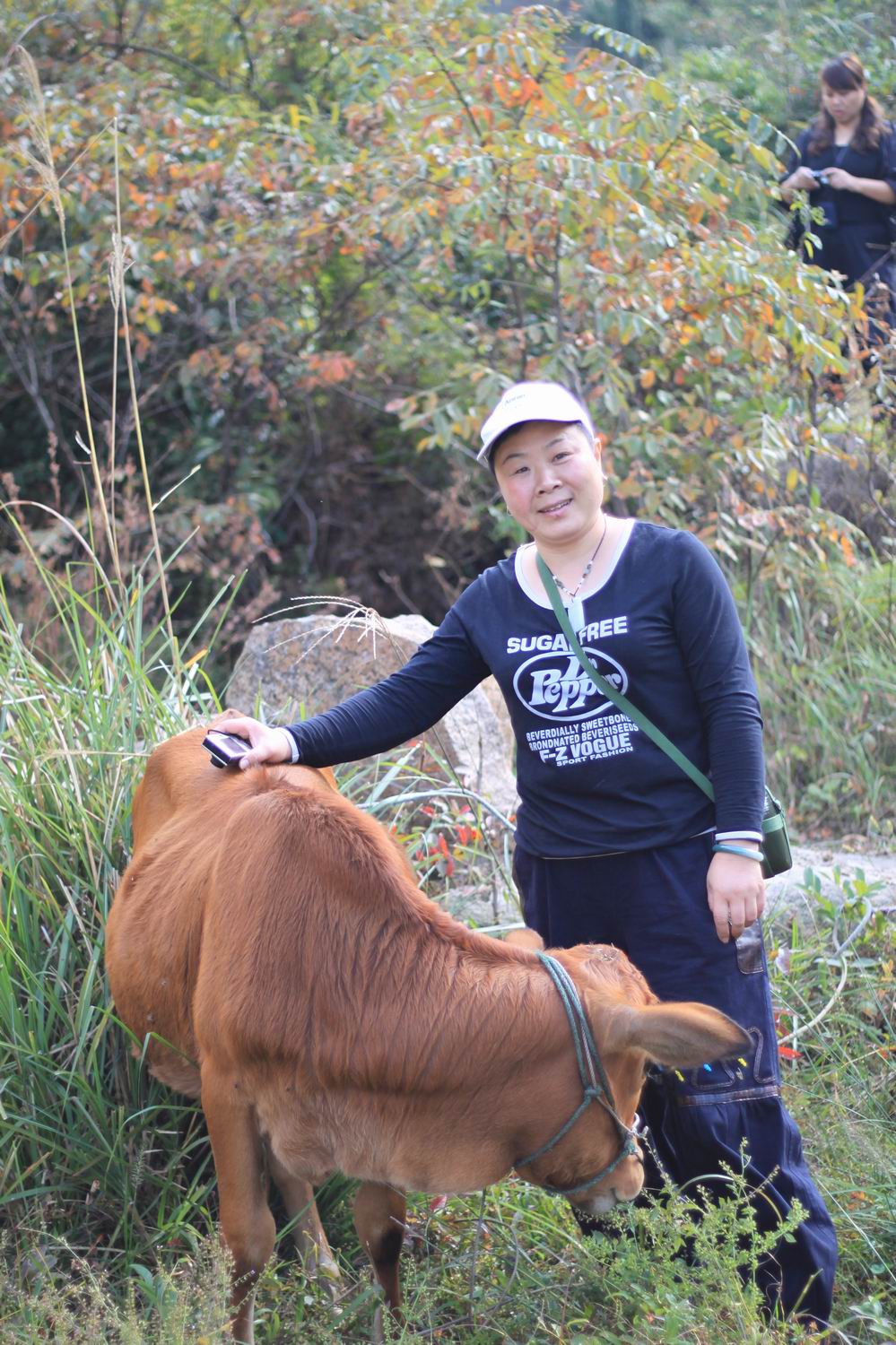 重阳节前奏——寻迹万马渡