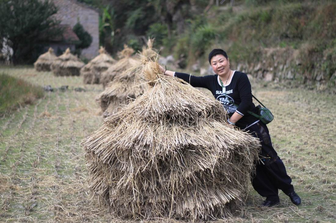 重阳节前奏——寻迹万马渡