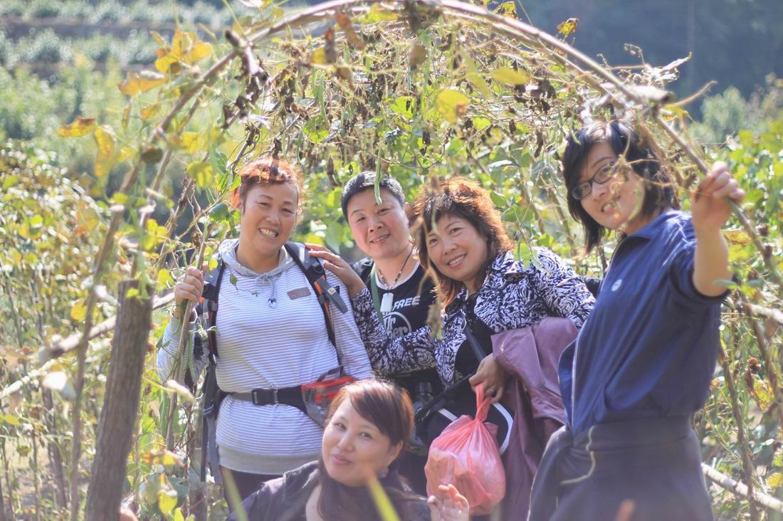 重阳节前奏——寻迹万马渡