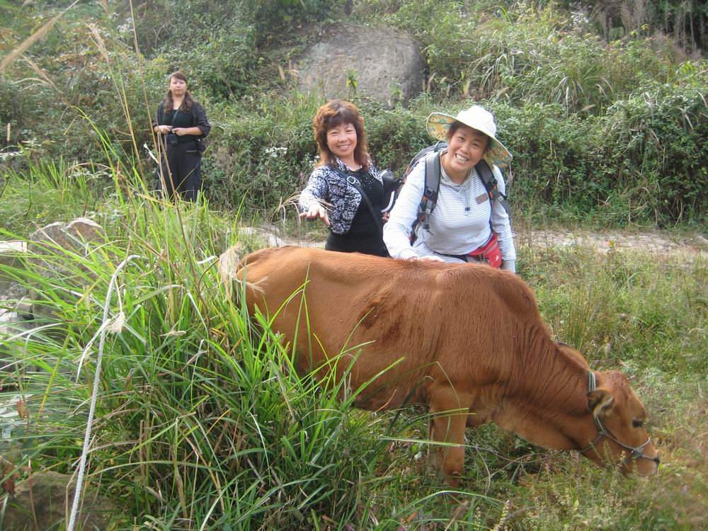 重阳节前奏——寻迹万马渡